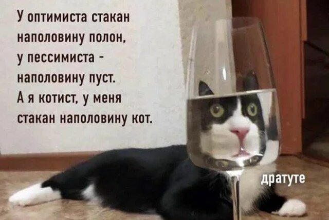 На половину полон или наполовину пуст. Лицо наполовину животное. Нельзя дружить только с солнечной стороной человека. Мемы про педобира комиксы. Женщина с кошачьими глазами.