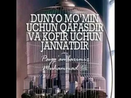 Nafs balosi