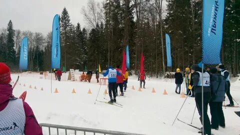 Систем 2018