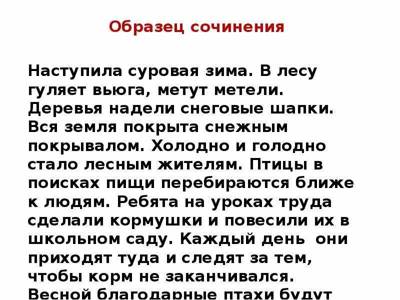 Найти друга сочинение. Сочинение про друга. Сочинение друзья птиц. Друзья птиц сочинение 2. Сочинение на тему друзья.