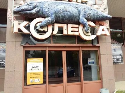 Мир колеса рязань