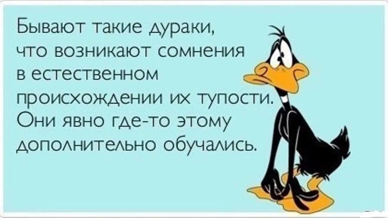 Люди стали тупее. ₽сказывания про дураков. Афоризмы про дураков. Высказывания о дураках. Фразы про дураков.