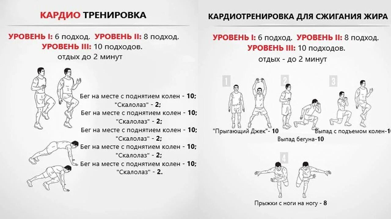 Кардиотренировка план кардиотренировки в зале. Кардиотренировки для сжигания жира для начинающих. Кардио упражнения для сжигания жира в домашних условиях. План кардиотренировки в зале для похудения. Видео для сжигания жира