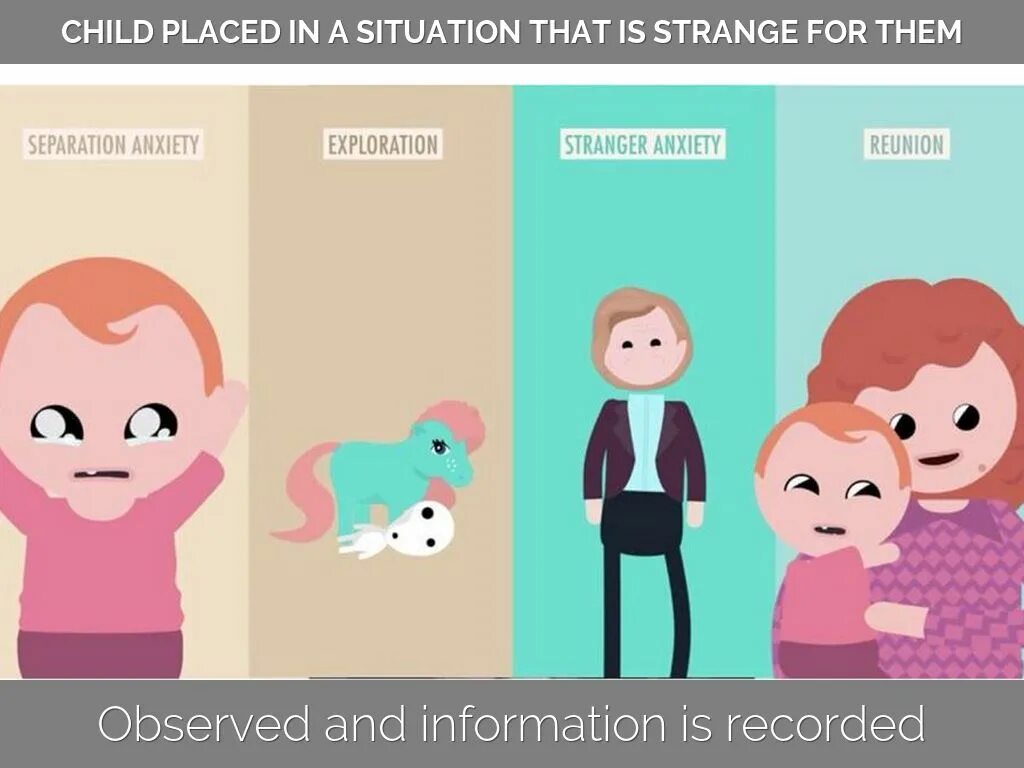 Эксперимент незнакомая ситуация мэри эйнсворт. Мэри эйнсворт незнакомая ситуация. Незнакомая ситуация. Теория привязанности эйнсворт. Мэри эйнсворт незнакомая ситуация.