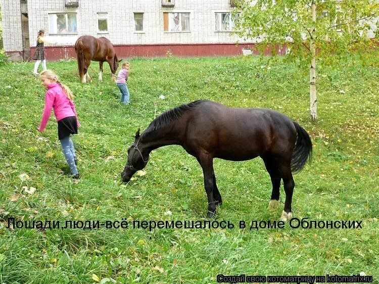 люди кони все смешалось в доме облонских
