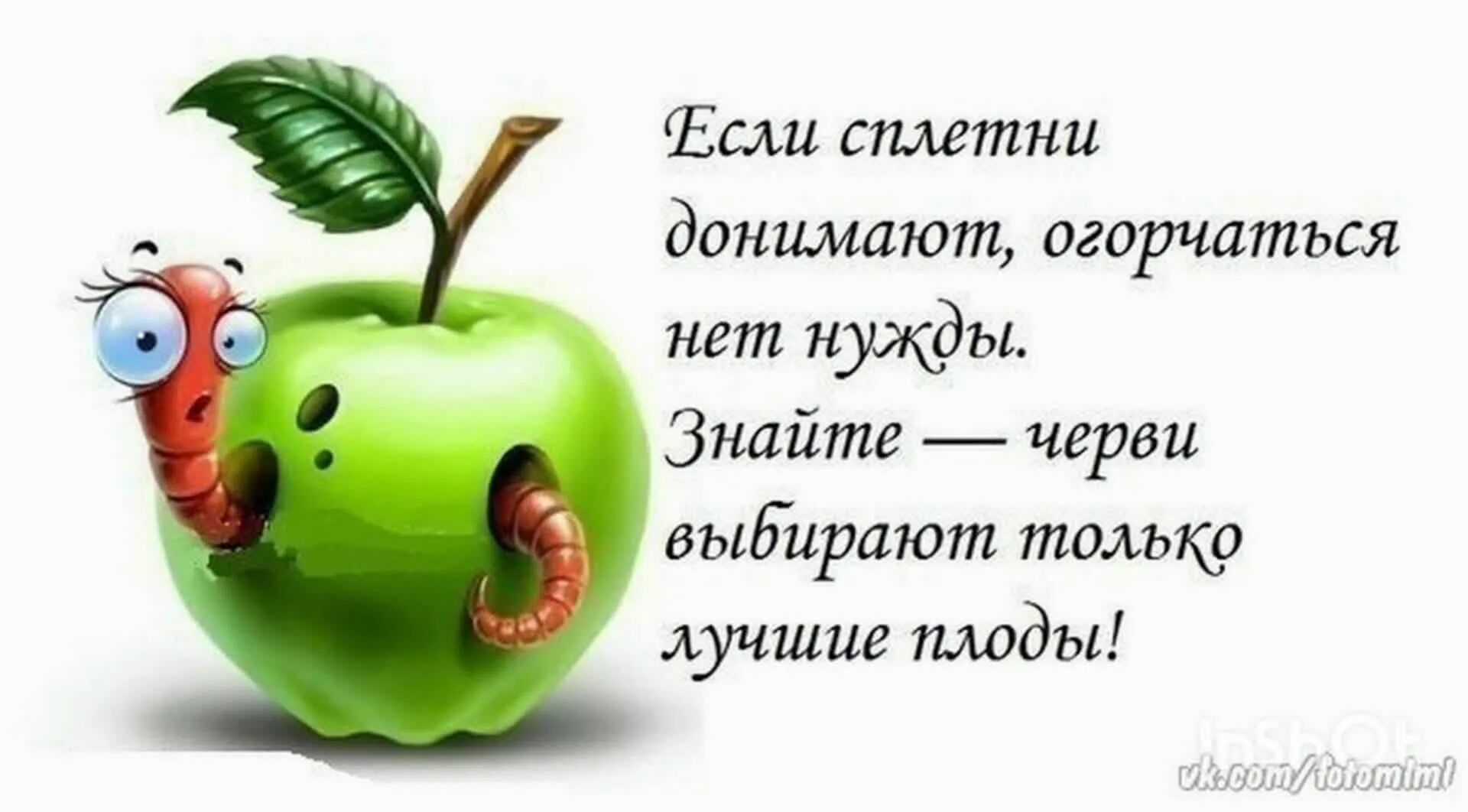 Чем огорчались чем радовались. Цитаты про зависть и сплетни. Афоризмы про сплетни. Цитаты про сплетни. Фразы про сплетников.