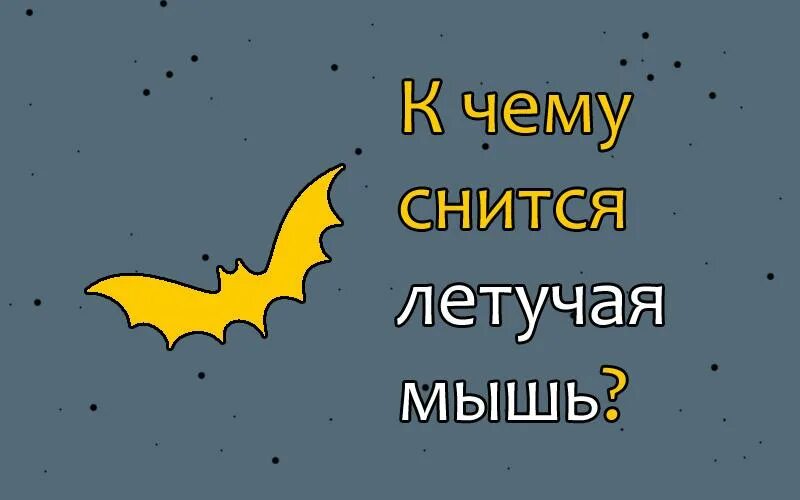 К чему снится летучая мышь. Снятся летучие мыши. Во сне приснились летучие мыши. Сонник к чему снится летучая мышь. Что значат мыши во снах