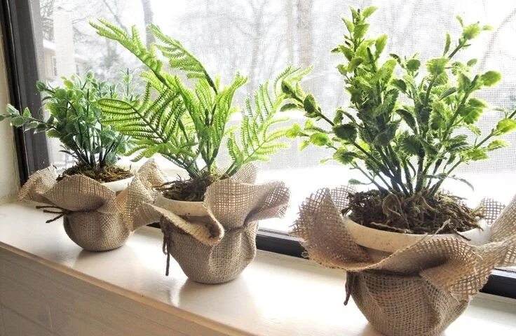 15 Brilliant and Easy Plant Care Tips ProFlowers Blog Pflanzen bewässerung, Pf