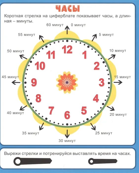 Время мин. Как научить ребёнка времени по часам. Как научить ребёнка понимать время по часам. Научить ребенка определять время по часам циферблат. Часы с минутами для детей.