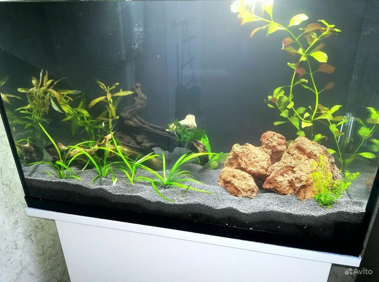 Грунт в аквариум для растений. Нано травник аквариум. Грунт для аквариума. Добавить грунт в аквариум. Грунт для аквариума.