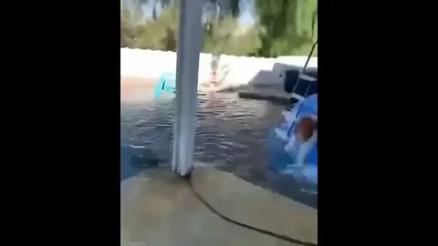 Устроил потоп
