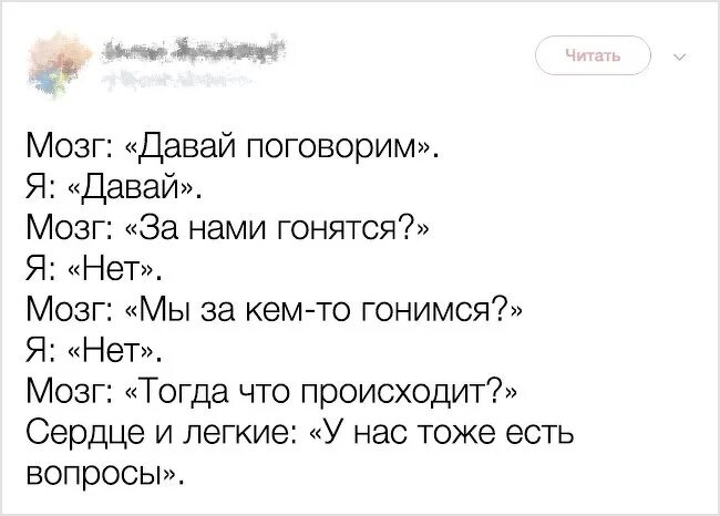 Что значит гонится. Мозг за нами кто-то гонится. Утренняя пробежка мозг. Мозг- за нами гонятся?. Утренняя пробежка мозг за нами гонятся.