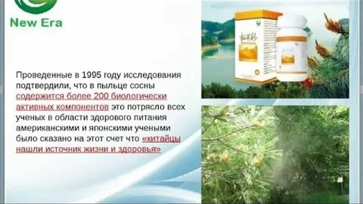 Новая эра китайская компания. Лекарства из бамбука. Биологически активные добавки к пище. Каталог продукции. Компания новая эра таджикистан.