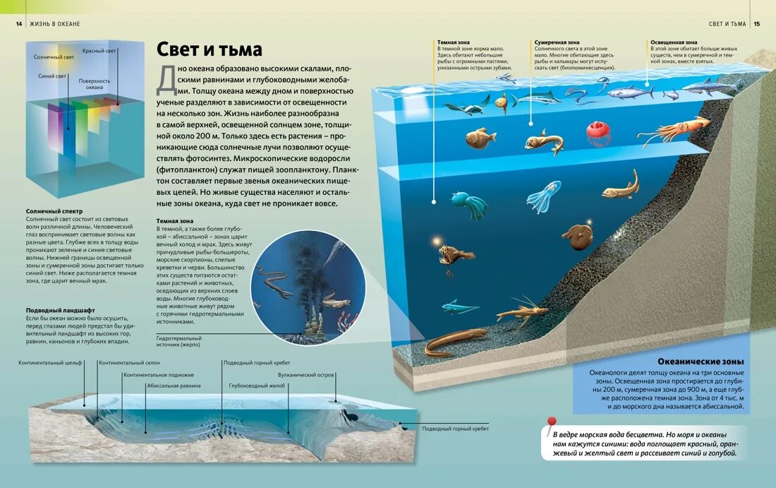 5 слоев океана. Зоны жизни в океане. Глубина океана схема. Слои воды в океане. Зоны глубины океана.