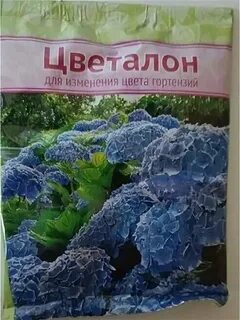 Каким удобрением гортензии
