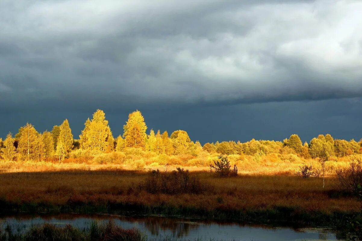 Перед дождем слушать. Перед дождем слушать. Гром осенью. Затишье перед грозой радуга. Осень перед дождем.