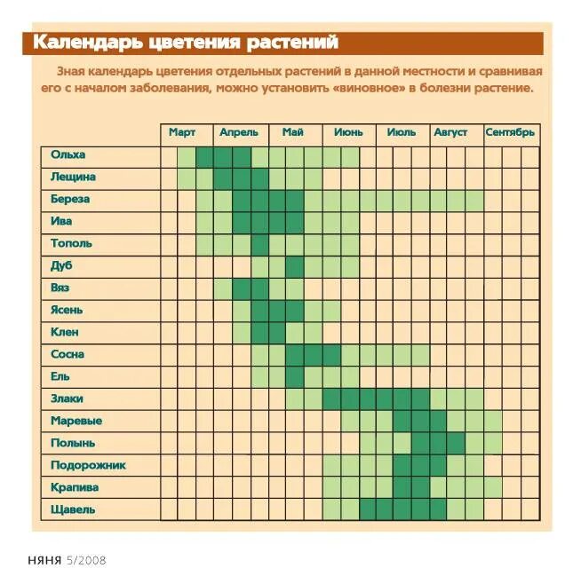 Через сколько лет начинает цвести. Сроки цветения растений таблица. Таблица цветения растений для аллергиков. Таблица аллергии на цветение. Период цветения аллергенных деревьев.