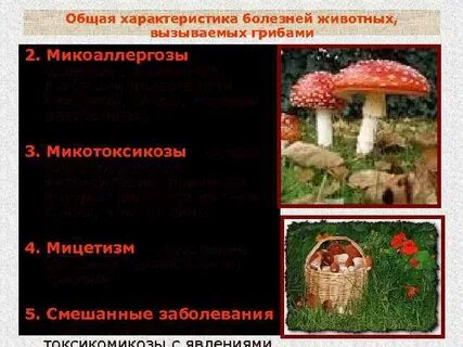 Грибы вызывают