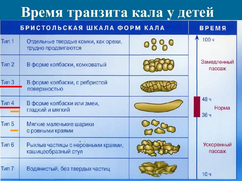 Сколько лет поносу. Бристольская шкала кала. Норма кала у ребенка в 3 года. Бристольская шкала формы кала. Нормальная форма стула у взрослого.