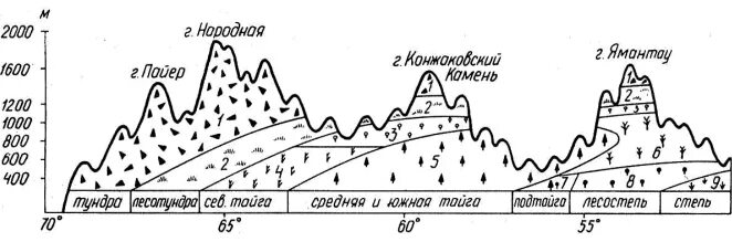 Профиль гора