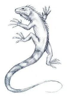 Ящерица рисунок