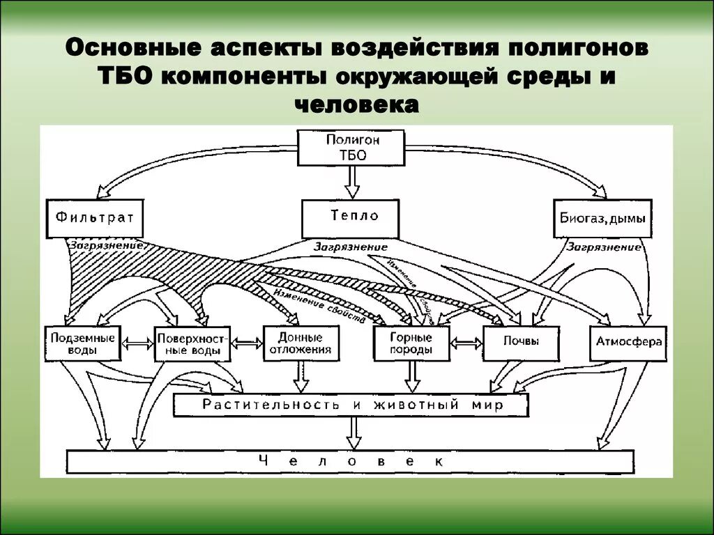 Влияние ТБО на окружающую среду. Воздействие полигона ТБО на окружающую среду. Влияние полигона ТБО на окружающую среду. Схема влияния полигонов ТБО на окружающую среду. Воздействие отходов производства на окружающую среду