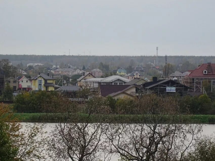 Погода низино ломоносовский. Низино Ленинградская область. Низино Ломоносовский район. Шинкарский пруд Низино. Деревня Низино Ломоносовского района.