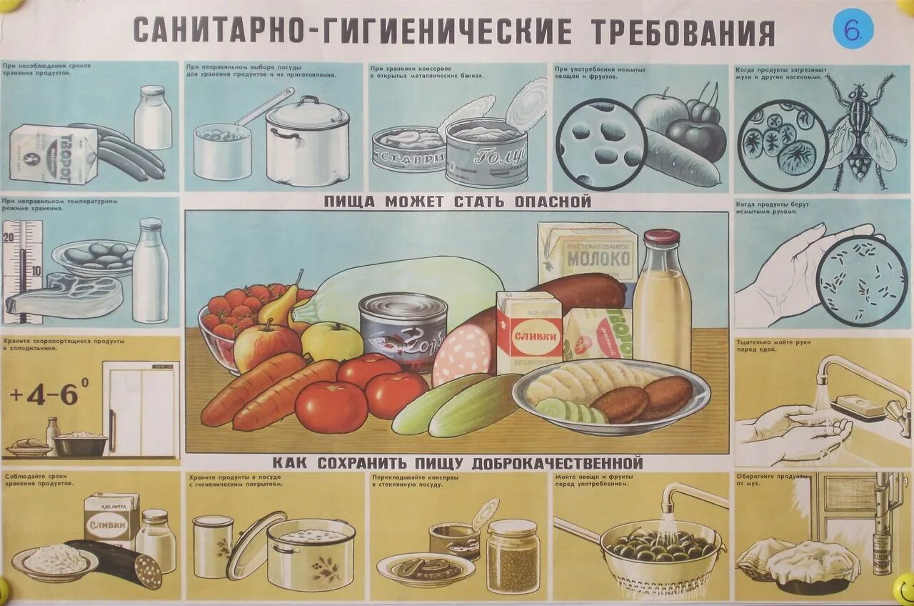 Гигиеническая безопасность продуктов питания. Санитарно гигиенические требования к кулинарной обработке продуктов. Санитарные требования к приготовлению пищи. Санитарные требования к тепловой обработке пищевых продуктов. Санитарно гигиенические требования продуктов.