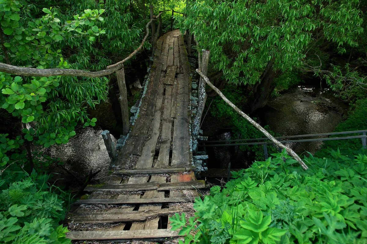 Деревянный мостик через речку. Мост на реке онда. Старый мост через реку. Старинный деревянный мост. Деревянный мост.