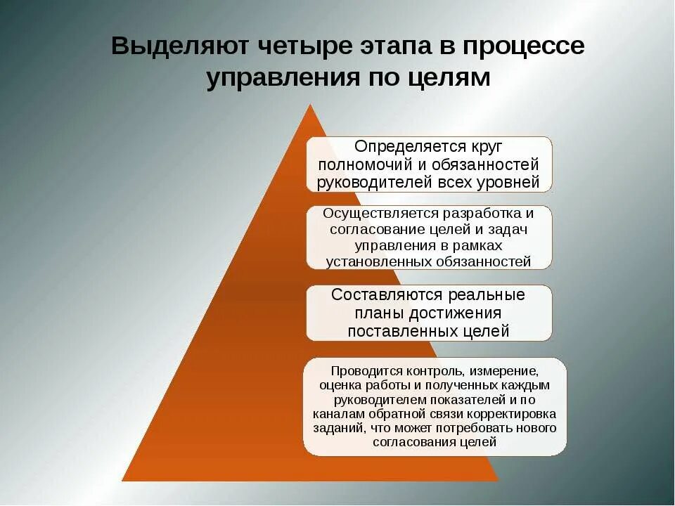 Взаимодействие целей проекта и организации