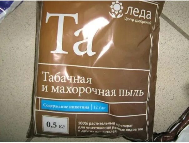 Пыльного 3