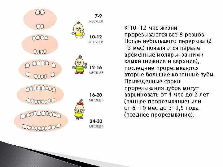 Таблица скачков роста у детей до года. Таблица скачков развития ребенка до года. Скачок ростаудетей после грда. Скочкр роста у детей до года. Скачки роста по неделям у ребенка