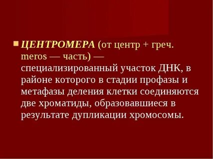 Центромера