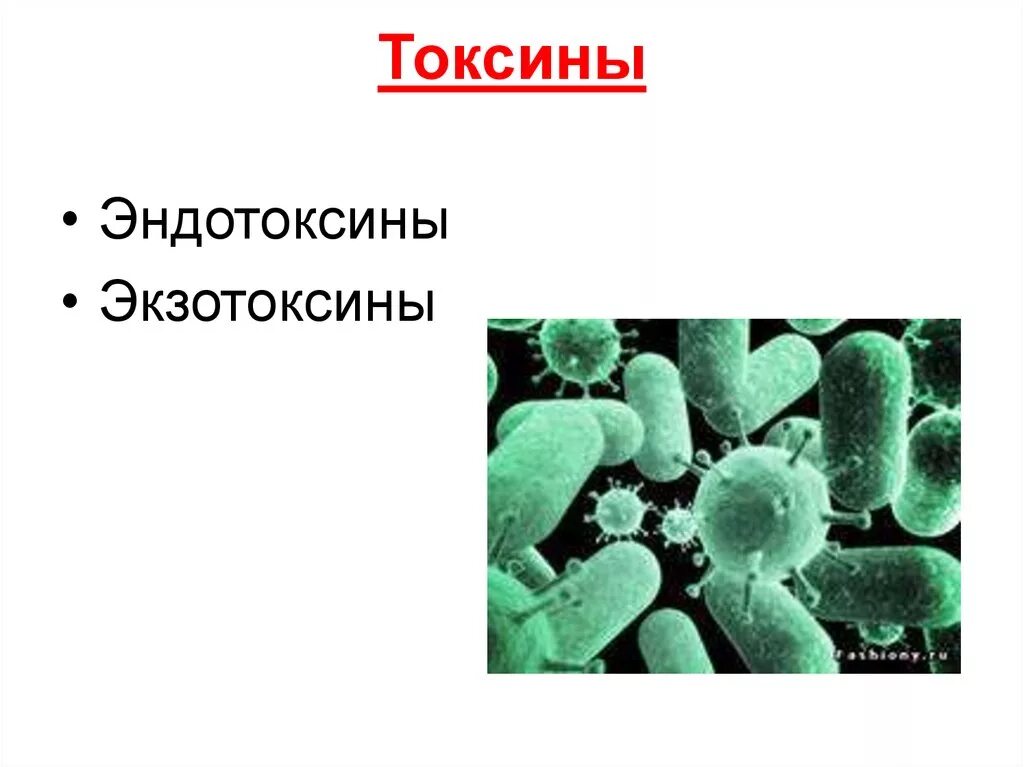 Токсины выделяемые микроорганизмами. Тема презентации Токсин. Токсины картинки. Бактерия выделяет токсины. Сильнейшие токсины