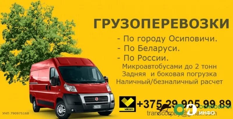 Маршрутка бобруйск могилев номера телефонов