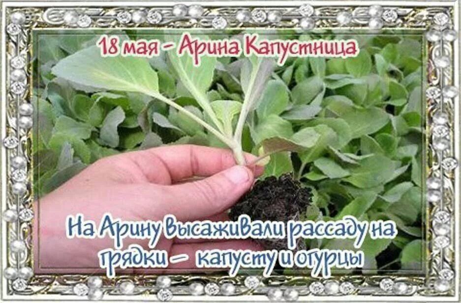 Какого числа день арины. Какого числа день арины