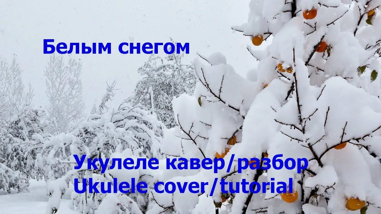 Белым снегом песня группа. Белый снег на укулеле. Снег разбор. Песня белый снег на укулеле. Белым снегом на укулеле разбор.