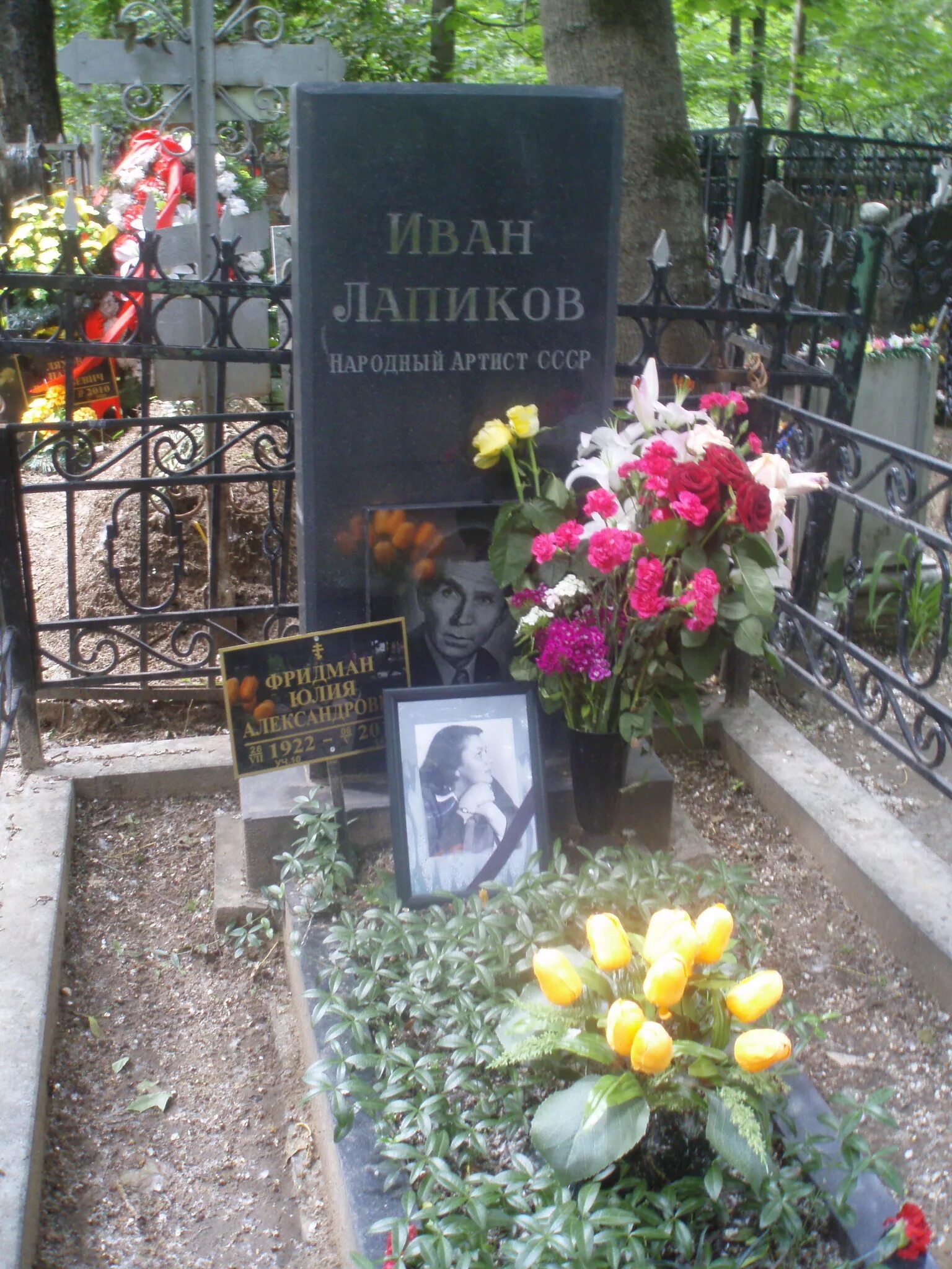Биография ивана лапикова. Могила ивана лапикова. могила ивана лапикова на ваганьковском.