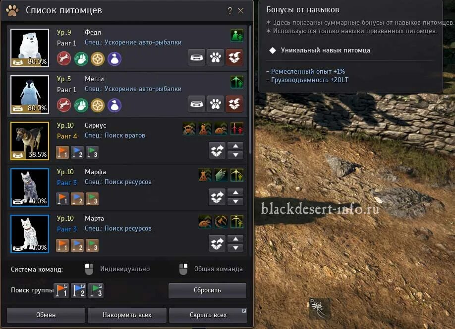 Бдо питомец питомец черный. Обмен петов. Ранги питомцев бдо. Ранги питомцев бдо. Блэк десерт питомцы.