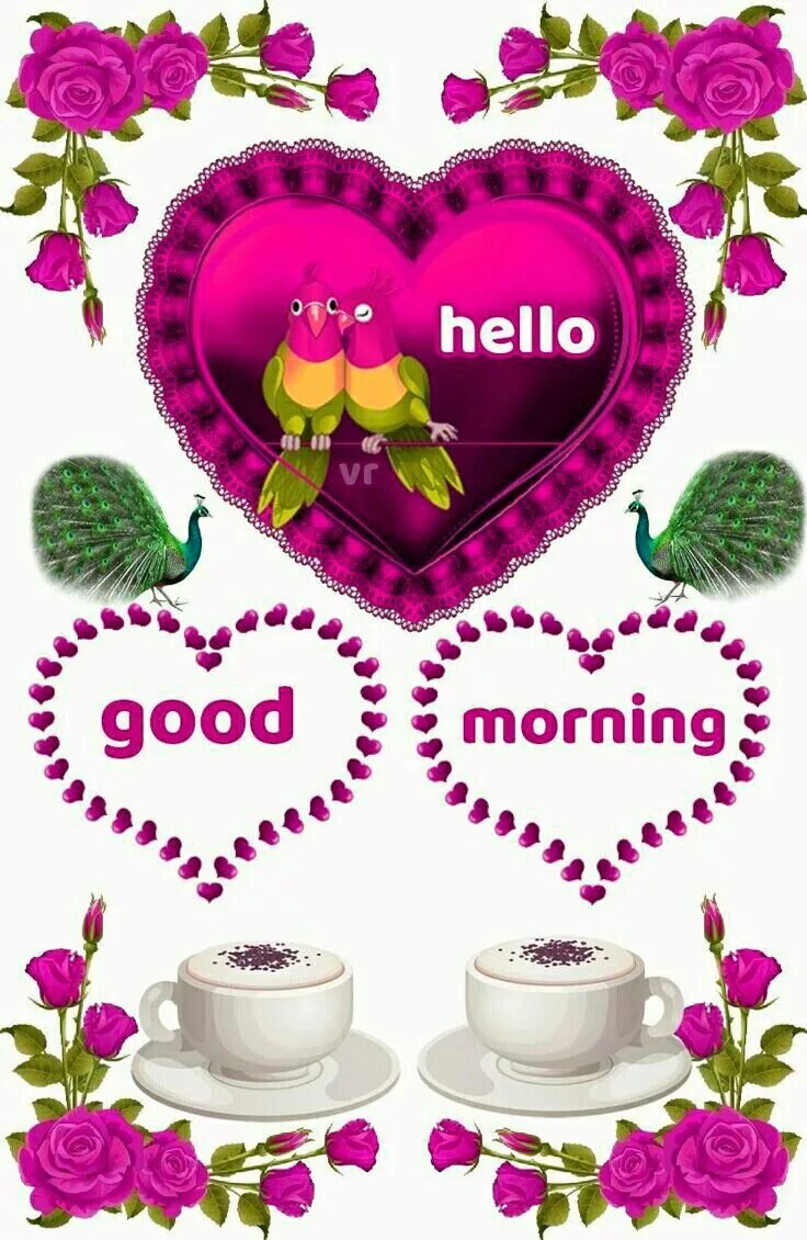 Hello best. Hello good morning. гуд морнинг картинки. hello утро. good morning цветы.