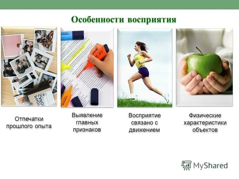 Обнаружение восприятие. Классификация восприятия ребенка. Обнаружение восприятие. Методы изучения восприятия в психологии. Апперцепция это в психологии.