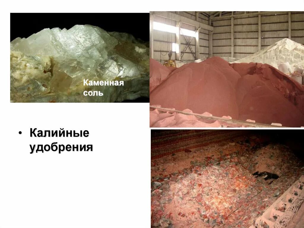 Соликамск производство удобрений. Уралкалий соликамск скру 2. Завод уралкалий березники. Соликамск производство удобрений. Уралхим уралкалий.