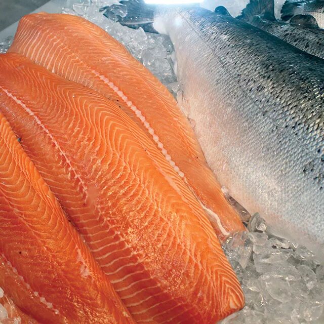 Форель лососевая. Форель радужная 200-250. Форель радужная замороженная. 7 кг турция триплоид. Чавыча форель лосось.