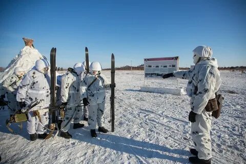 Арктический воин