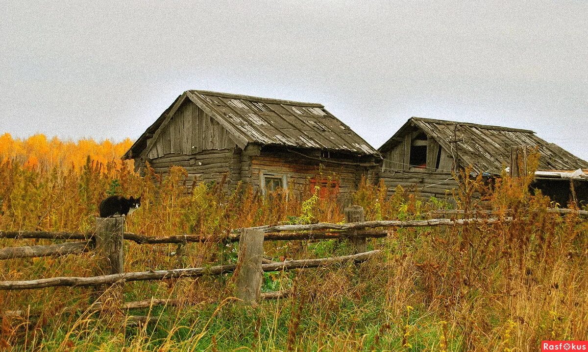 Деревня б н. Заброшенные деревни Сибири. Заброшенные деревни России Сибири и Урала. Русские заброшенные деревни в России. Заброшенные деревни Заларинского района.