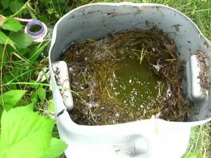 Настой для аквариума
