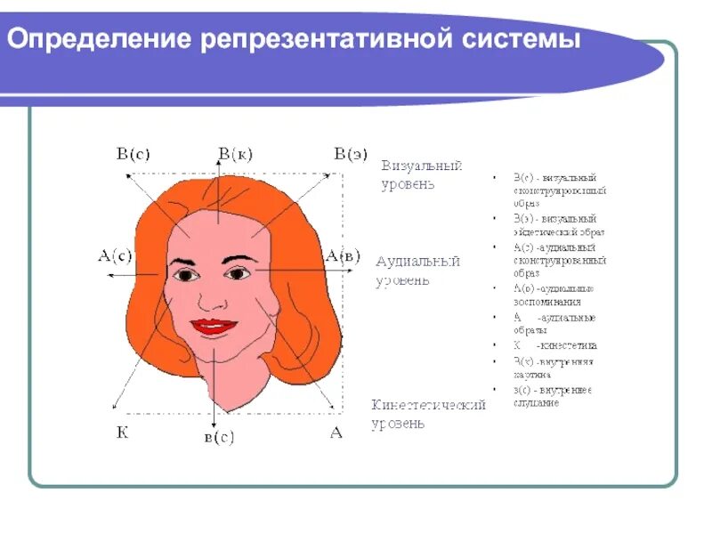 Репрезентативные системы восприятия. Определение репрезентативной системы. Определение ведущей репрезентативной системы. Схемы по репрезентативной системе. Ведущая репрезентативная система человека.