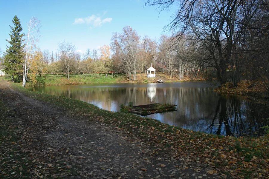 усадьба быково беседка на острове. усадебный парк пруд быково. пруды усадьба. усадьба узкое в москве. усадьба быково беседка ротонда.