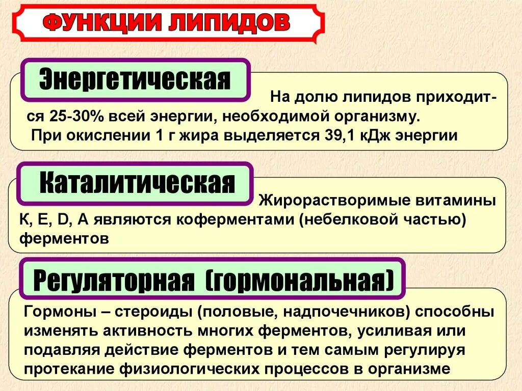 Липиды выполняющие строительную функцию. Функции липидов. Функции липидов в организме. Каталитическая функция липидов.