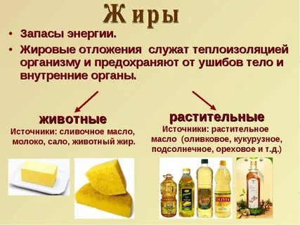 Почему организм не усваивает жиры